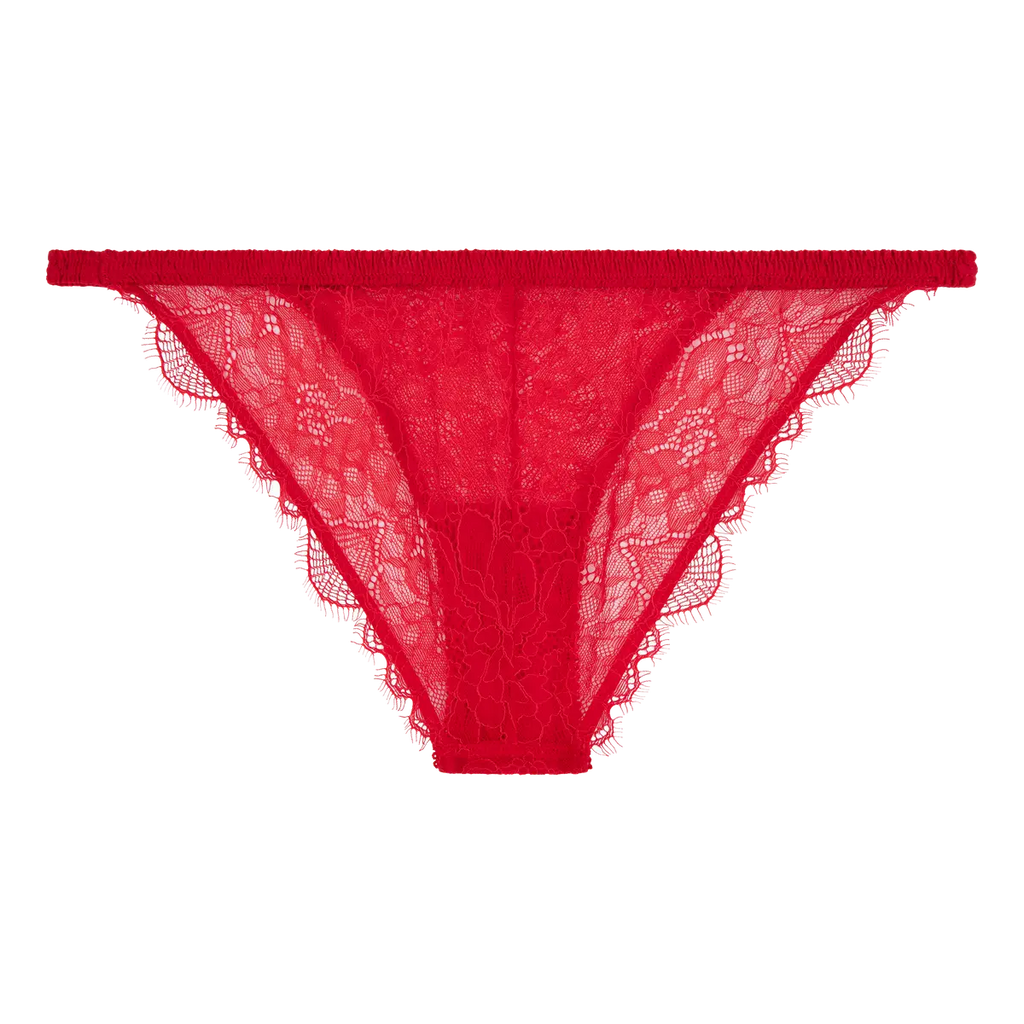 Delicate lace briefs - WILD ROSE RED