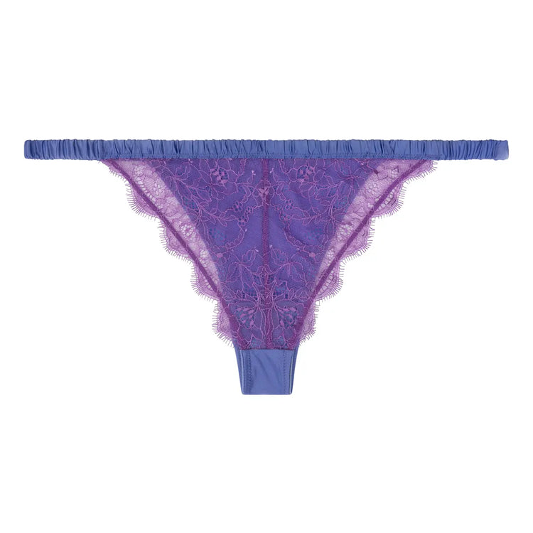 CHARLOTTE - PURPLE