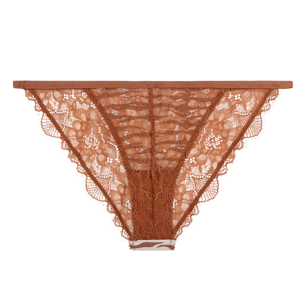 Comfortable lace briefs - WILD ROSE BROWN/WHITE