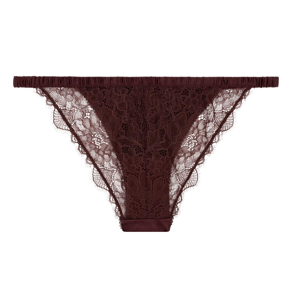 Comfortable lace briefs - WILD ROSE DARK BROWN